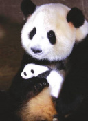 剑域问道的世界观：剑与道的深刻哲学